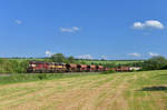 742 439 + 742 437 mit einem Güterzug am 30.05.2017 bei Milavce.