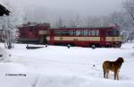 Auch Wuff ist Eisenbahnfan und findet die Kombination Triebwagen 810 079 + Diesellok 742 031 an der Spitze des talwärts fahrenden Sonderzuges interessant - Moldava (Moldau /Erzgebirge),