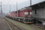 742 260, 742 529 und 140 094 warten am 02.01.2014 in Usti nad Labem-Strekov auf neue Aufgaben.