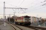 749 019 zu sehen am 31.01.19 in Plzeň hl.n.