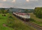 749 187 + 749 019 mit einem umgeleiteten Güterzug am 05.09.2014 bei Blizejov.