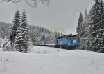 749 018 mit einem Sonderzug am 31.12.2014 bei Kubova Hut.