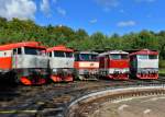 T478 1008, T478 1010, 749 121, T478 1201 und T478 2078 am 14.09.2013 in Lužná u Rakovníka.