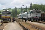 Heute vier verschiedene Lackierungen der Taucherbrille BR 754: Die 754 009-9 mit R 668 Brno Hlavn Ndra-Česk Budějovice auf Bahnhof Okřky am 31-5-2013.