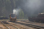 814 022-0 verläßt im Morgennebel mit einer tüchtigen Dieselqualmwolke den Bahnhof Kamenne Zehrovice, Richtung Kladno. 26.08.2017  08:52 Uhr.