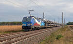 383 009 führte am 07.09.19 einen vollen BLG-Autozug aus Tschechien kommend durch Marxdorf. Der Flagge zeigende Vectron hat sein Ziel Falkenberg(E) bereits fast erreicht.