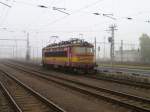 242 206-1 die aus dem Nebel kam, am 20.10.12 in Cheb.