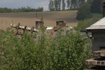 Ein letzter Mast einer Bahntelefonleitung befindet sich bei Kostalov.21.05.2016 11:48 Uhr.