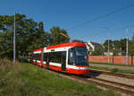 Seit November 2022 werden die KT8D der Brnner Straenbahn durch Skoda 45T ergnzt und ersetzt. Am 06.09.2023 war 1760 auf der Linie 8 nach Lisen unterwegs und passierte den jdischen Friedhof.