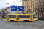 Am 23.11.2019 biegt Fahrzeug-Nr. 255 (Typ T3R.PV) als Linie 1 Bolevec-Slovany nach der Haltestelle Sady Pětatřicátníkůin Richtung Innenstadt ab. 