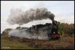 Am Waldrand von Rudnitsa macht HR 280 Volldampf am 11.10.2016.