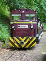 Irgendwo mitten im Wald begegnen wir dem Gegenzug mit D02-510 auf einer Ausweichstelle der LAEV, 10.7.16  Der  Mitreisende  außen am letzten Wagen ist der Fahrkartenkontrolleur, die sich