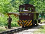 Mit dem Abkoppeln sind die Jungs immer sehr fix - so schnell kann man gar nicht aus dem Wagen springen, wie die Lok schon hinter der Weiche steht! Garadna, 10.7.16 