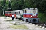 Beaufsichtigt von Erwachsenen wird die Kindereisenbahn von Budapest von Kindern betrieben.