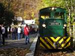 Diesellock der Lillafüredi Állami Erdei Vasút in Lillafüred am 24.10.2008 