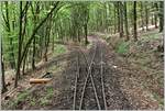 Auf dem Abstieg von Nagyrtás nach Nagybörsöny befährt die 760mm Schmalspurbahn mitten im Wald zweimal eine Spitzkehre.