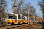 Das vom T5C5 4168 geführte Tandem der Linie 41 hat soeben die Haltestelle Repulöter verlassen und wird in wenigen Minuten den Endpunkt Kamaraerdö erreichen. (10.03.2018)