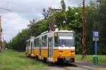 Recht abgelegen ist die Endstelle der Linie 37 in der Kozma ut beim israelitischen Friedhof. Ein vom T5C5 4017 geführtes Tandem wartet auf die Abfahrt ins Stadtzentrum. (31.07.2014)