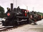 Dampflok 349 (Baldwin Locomotive Works, Baujahr: 1891) der Tennessee Valley Railroad auf Bahnhof Grand Junction (State of Tennessee) am 30-08-2003.