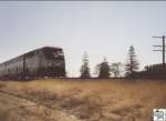 Eine F 59 PHI zieht einen Zug der Amtrak California. Das Bild wurde an einer Landstrae in Kalifornien aufgenommen.
