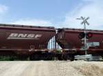 Grain cars der BNSF auf einem Bahnbergang nahe Rose Hill, Kansas am 20.07.2009.