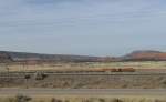Ein Gterzug mit zwei BNSF Loks ist in der weiten amerikanischen Landschaft unterwegs.