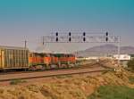 Eastbound der BNSF von Barstow Rbf nach Chicago am Ausfahrtsignal des Rangierbahnhofes in der Mojave-Wste.