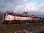 V 170 2 Nohab`s V 170 1142 und V 170 1125 von Fa. Strabag vor Schotterzug im Bf. Eilenburg am 23.11.2009