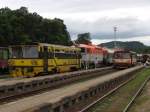 810 205-5 (Viamont) mit ...  Date Jan de Vries 08.09.2011