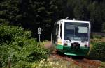 Vogtlandbahn 654 036 (VT36) als VBG83142 in Zwota, 16.7.010.