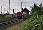 346 852 der WFL ...  Frank Kropp 29.08.2010