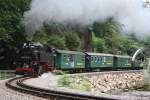 99 1734-5 am 18.07. 10 im Wei�eritzgrund  ...