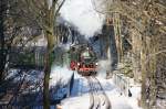 03.01.2009, Wei�eritztalbahn, 99 1746-9 ...  Floreg L. 15.01.2011