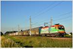 1116.007 (SOS-Kinderdorf) mit dem Audizug 47126 bei Oftering; 8.7.2010.  ...