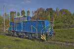 13.10.2010. Eine als Anschaungsst�ck ...  Lottermoser 14.10.2010