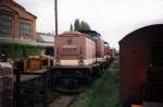199 863-2 1995 im Bahnhof Wernigerode Westerntor. (Bild wurde vom ...