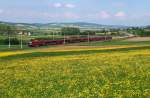 westbahn 1116 204 mit RJ 64 bei Sch�nfeld (11.05.2010)