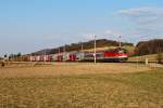 REX 1632 ist von ...  Gerhard Zant 31.03.2011