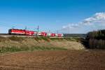 REX 1633 ist von ...  Gerhard Zant 11.04.2011
