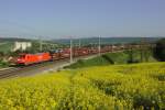 185 290 mit dem ...  Philip K. 18.05.2011