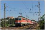 REX 1624“Tiergarten Sch�nbrunn“ von ...  Hanspeter Reschinger 19.09.2011