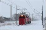 Sturmtief Daisy st�rzte Anfang ...  Jens-Peter Schl�r 04.08.2011