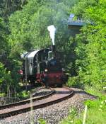 Lok  Waldbr�l  am 29.5.2011 ...  Maxim P. R. 30.05.2011