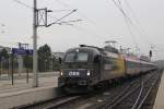 T�glich gr��t das Murmeltier ...  Florian Kubele 24.10.2011