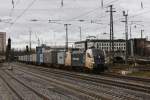 �u�erst seltener Gast in ...  Dennis Kraus 05.12.2011