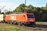 Die neue WLE 81, zieht am 15.09.2010 den Warsteinerzug durch ...