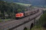 Hier �berquert WLE 36 mit dem leeren Spanplattenzug von Lippstadt ...