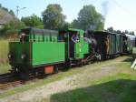 WSV-Planzug mit Leihgabe-Lok 100.13 ...  Karl Seltenhammer 20.06.2010
