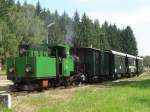 WSV-Planzug mit Leihgabe-Lok 100.13 ...  Karl Seltenhammer 21.06.2010