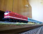 219 025-4 mit meinen neuen Mintgr�nen Halberst�dtern f�r (15 euro ...